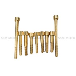 Pure brass gear box bolt set for Royal Enfield motorcycles, hand-polished finish by SSM Moto."