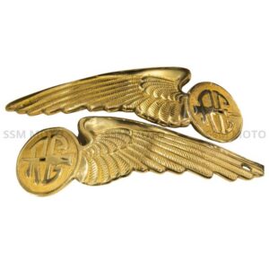 SSM MOTO premium brass wing-type tank emblem set for Royal Enfield fuel tank customization.
